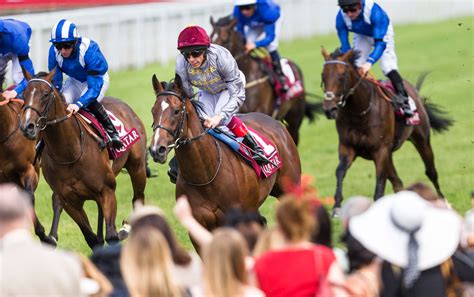 todays runners|goodwood races today's runners.
